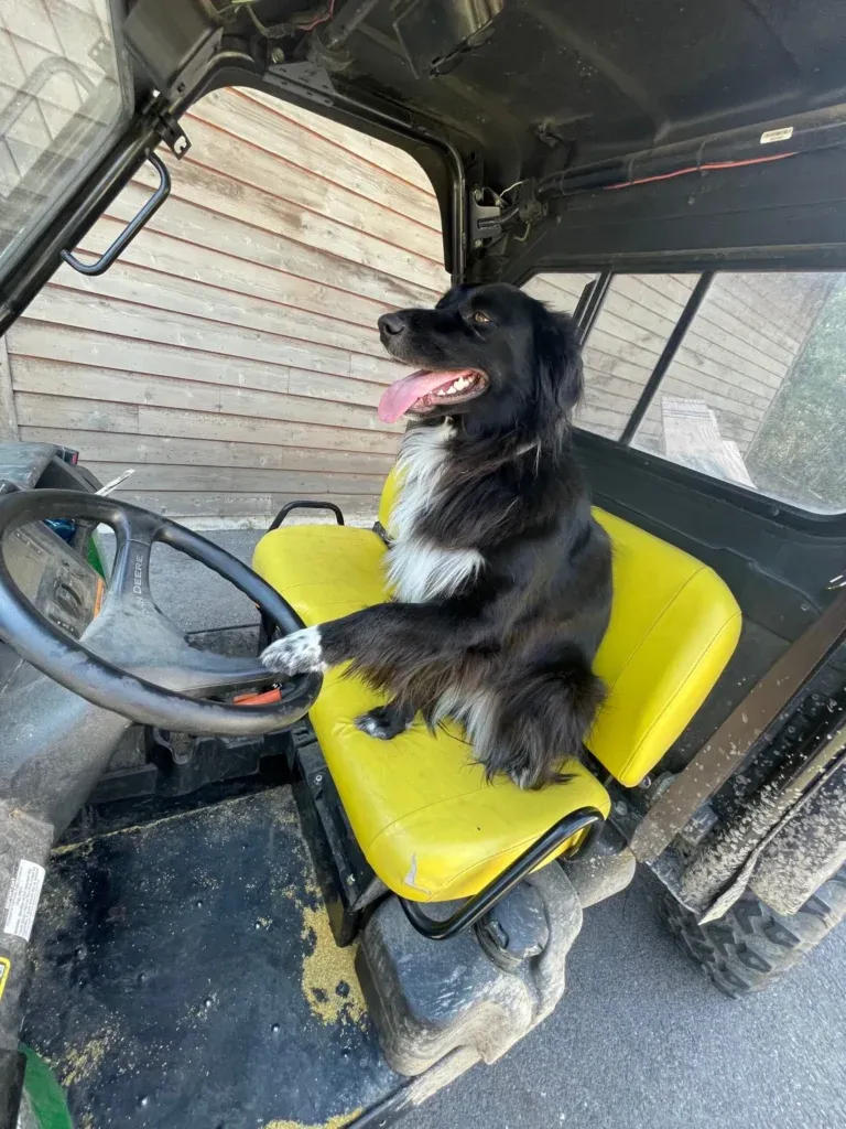Shop Supervisor