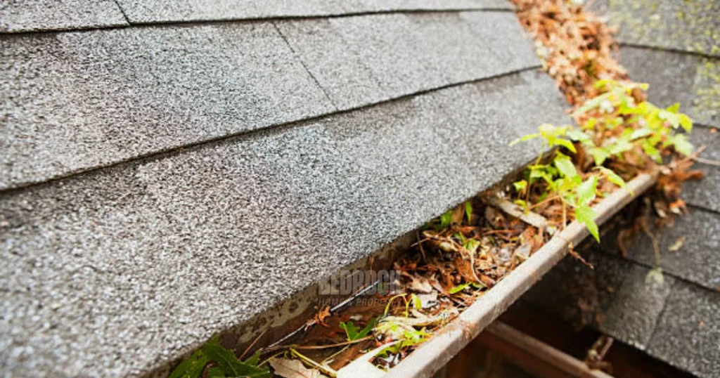 Handyman Gutter Cleaning Services in , MN